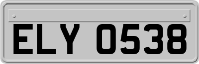 ELY0538