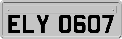 ELY0607