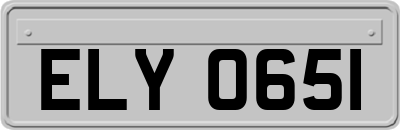 ELY0651