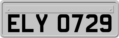 ELY0729