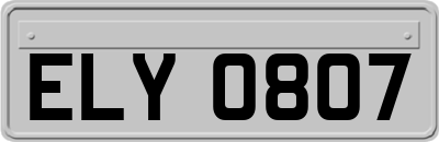 ELY0807