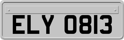 ELY0813