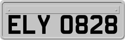 ELY0828
