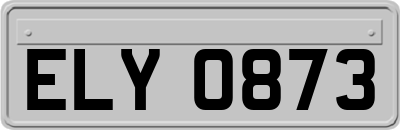 ELY0873