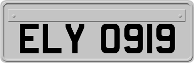 ELY0919