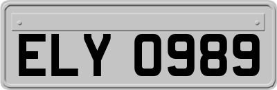 ELY0989