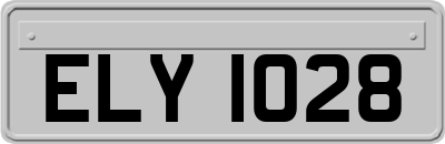 ELY1028