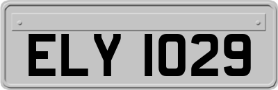 ELY1029
