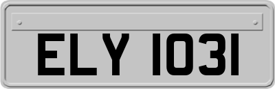 ELY1031