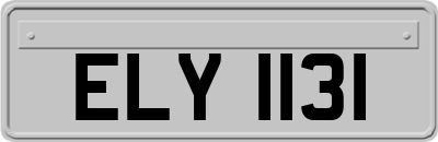 ELY1131