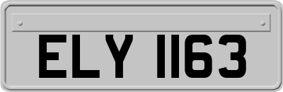 ELY1163