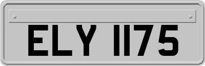 ELY1175