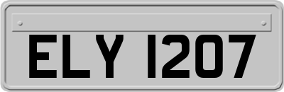 ELY1207