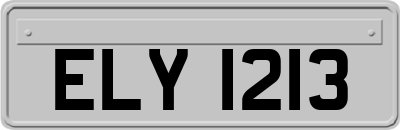 ELY1213