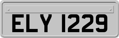 ELY1229