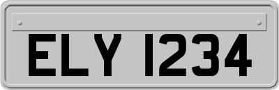 ELY1234