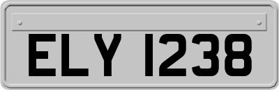 ELY1238