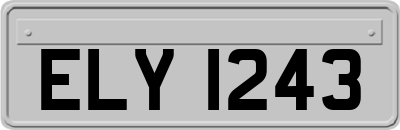 ELY1243