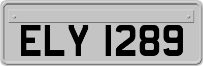 ELY1289
