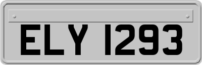 ELY1293