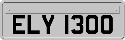 ELY1300