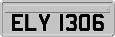 ELY1306