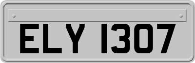 ELY1307