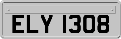 ELY1308
