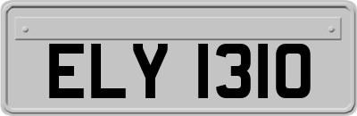ELY1310