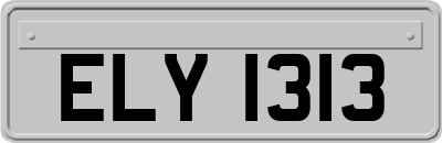 ELY1313