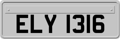 ELY1316