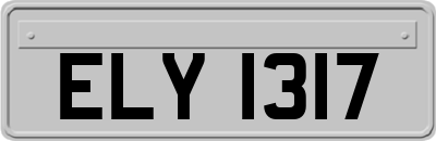 ELY1317