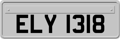 ELY1318