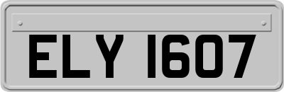 ELY1607