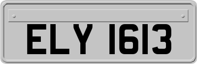 ELY1613