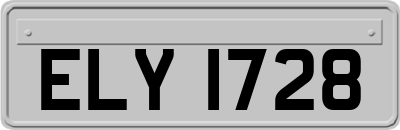 ELY1728