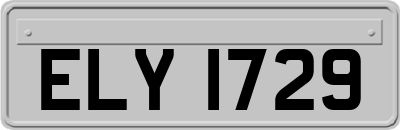 ELY1729
