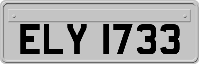 ELY1733
