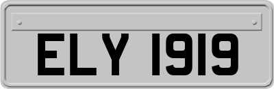 ELY1919
