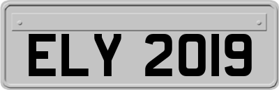 ELY2019