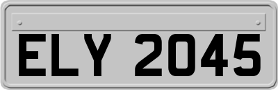 ELY2045