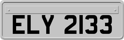 ELY2133