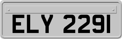 ELY2291