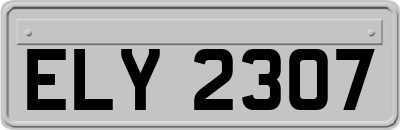 ELY2307