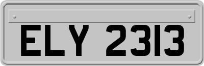 ELY2313