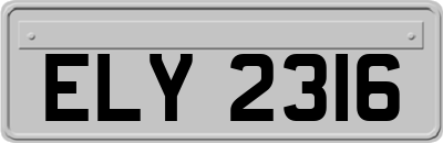 ELY2316