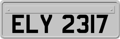 ELY2317
