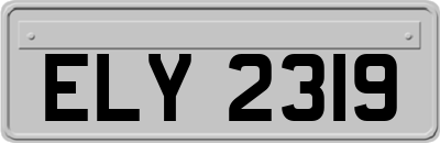 ELY2319