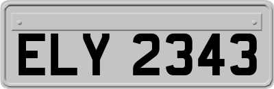 ELY2343