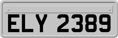 ELY2389